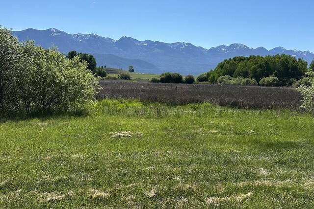 234 Red Tail Rd, Polson, MT 59860