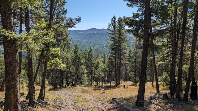 76 Hodge Rdg, Kila, MT 59920