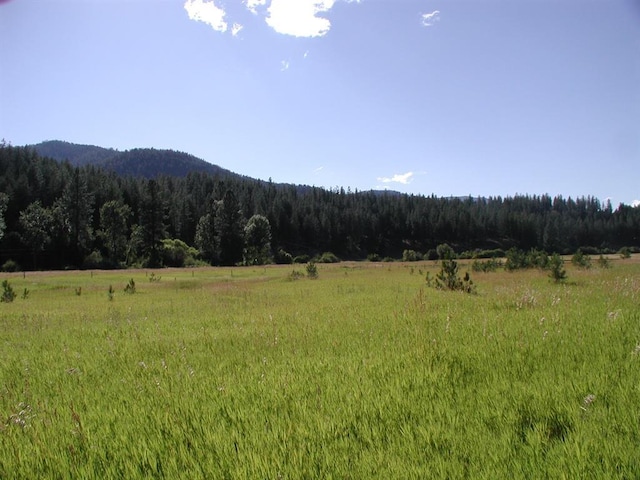 226 W River Rd, Plains, MT 59859