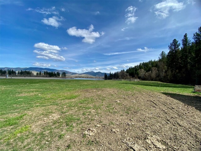 226 W River Rd, Plains, MT 59859