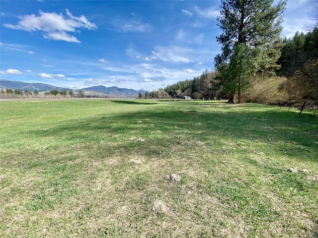 226 W River Rd, Plains, MT 59859