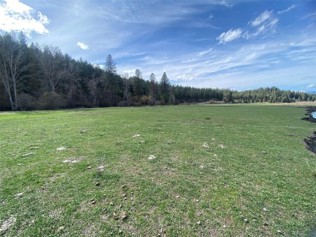 226 W River Rd, Plains, MT 59859
