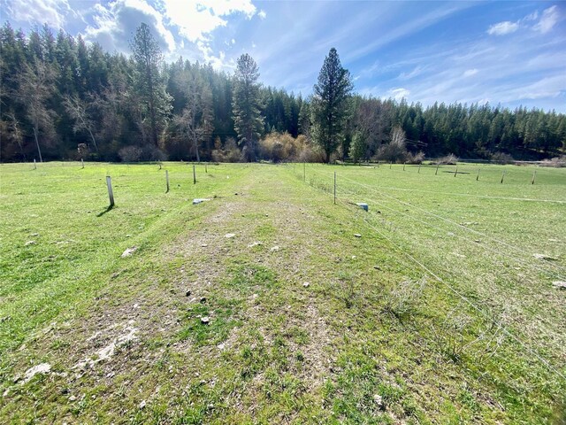 226 W River Rd, Plains, MT 59859