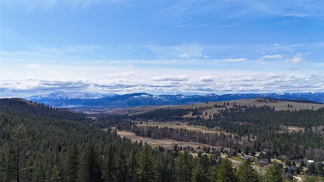 425 Colorado Gulch Rd, Missoula, MT 59808