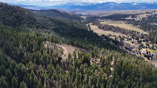 425 Colorado Gulch Rd, Missoula, MT 59808