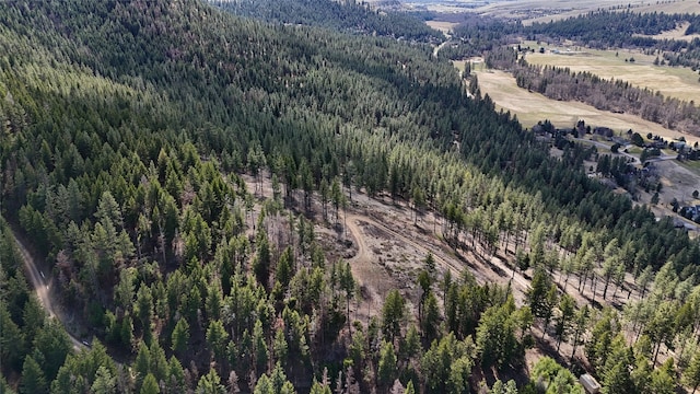 425 Colorado Gulch Rd, Missoula, MT 59808