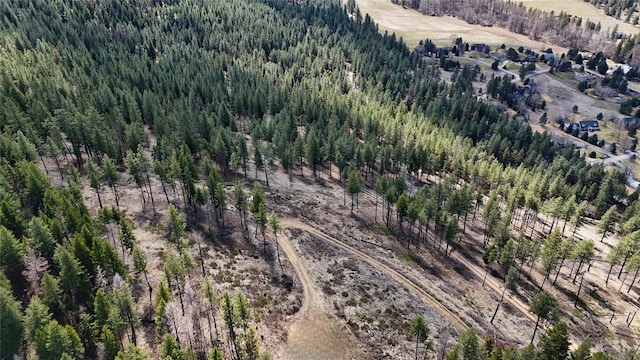 425 Colorado Gulch Rd, Missoula, MT 59808