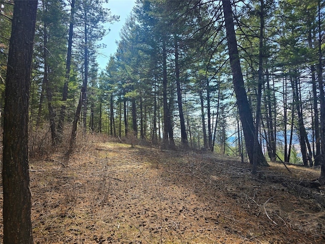 425 Colorado Gulch Rd, Missoula, MT 59808