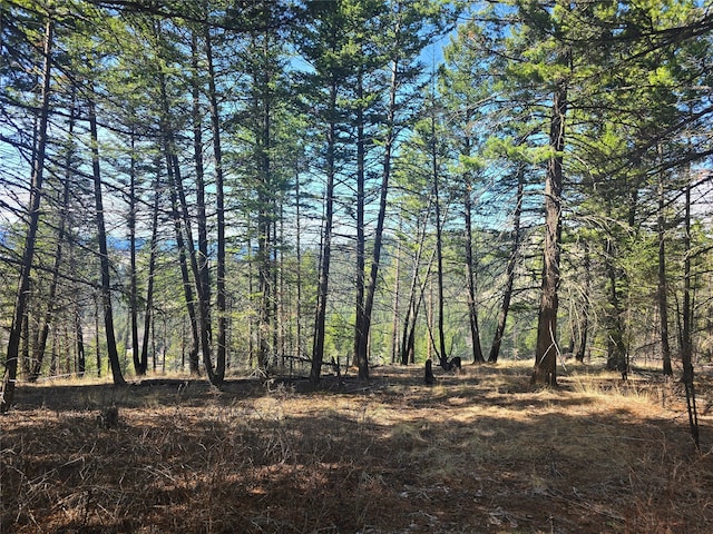 425 Colorado Gulch Rd, Missoula, MT 59808