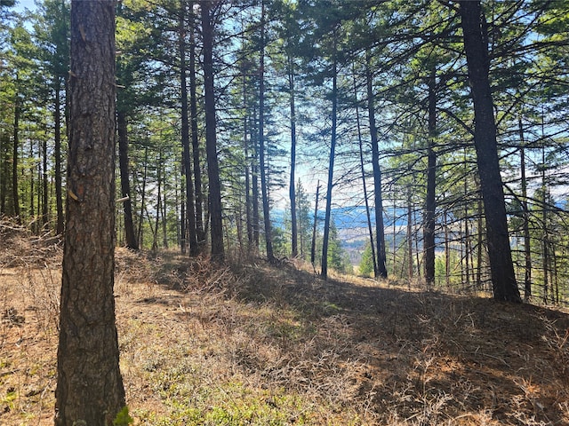 425 Colorado Gulch Rd, Missoula, MT 59808