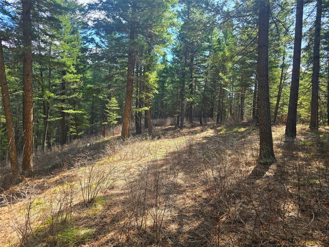 425 Colorado Gulch Rd, Missoula, MT 59808