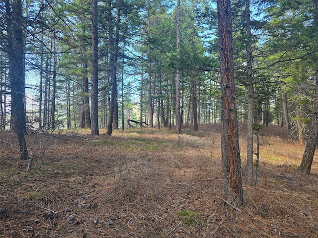 425 Colorado Gulch Rd, Missoula, MT 59808