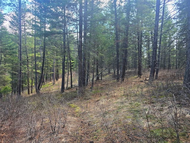 425 Colorado Gulch Rd, Missoula, MT 59808