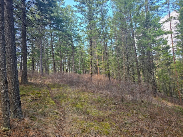425 Colorado Gulch Rd, Missoula, MT 59808