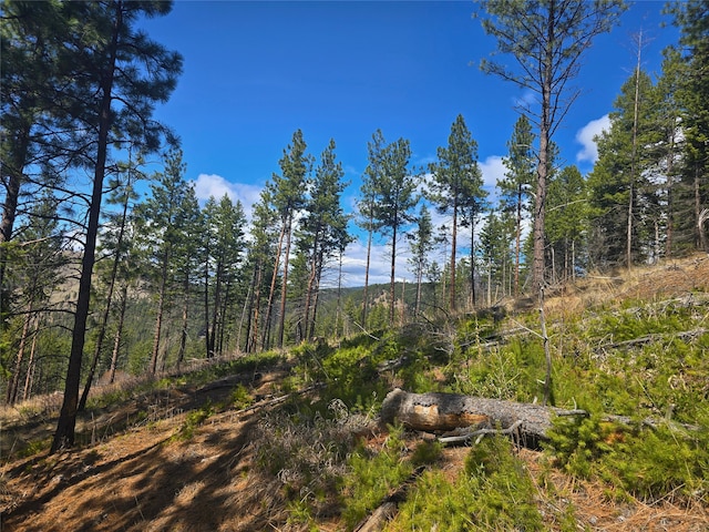 425 Colorado Gulch Rd, Missoula, MT 59808
