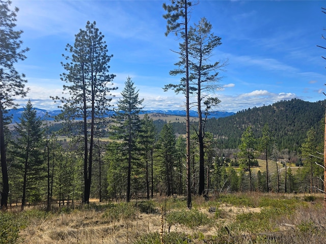 425 Colorado Gulch Rd, Missoula, MT 59808