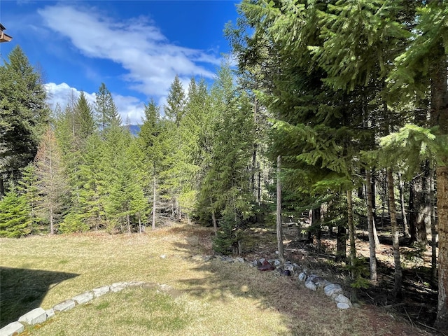 69 Fir Dr, Thompson Falls, MT 59873 - view of yard featuring a view of trees