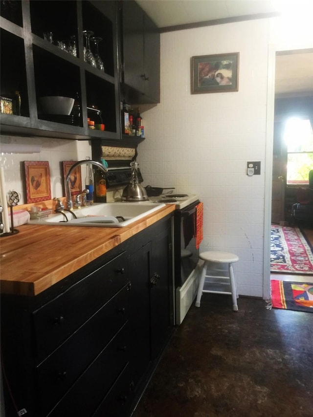 413 A St Unit 2, Hot Springs, MT 59845 - bar with a sink and range with electric cooktop