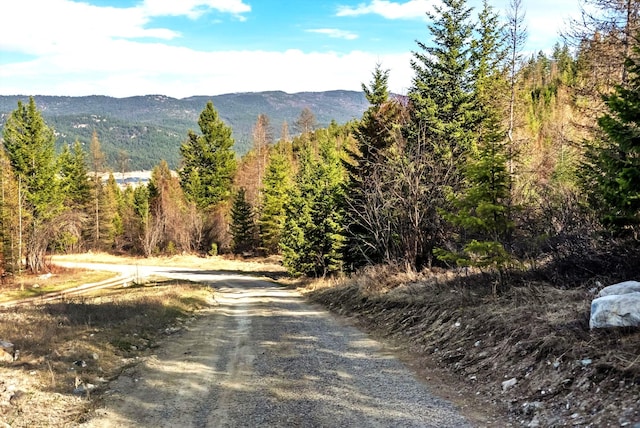 50 Eagle View Rd, Kila, MT 59920