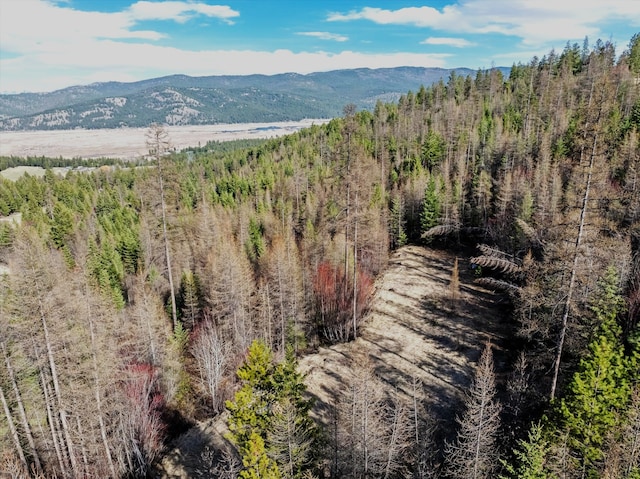 50 Eagle View Rd, Kila, MT 59920