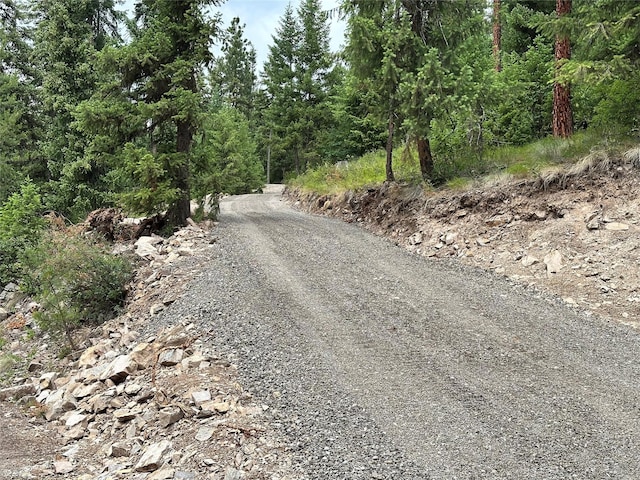 587 Cochran Ln, Saint Regis, MT 59866 - view of dirt / gravel road featuring a view of trees