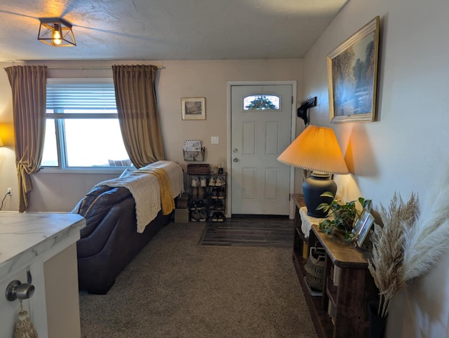 view of carpeted living area