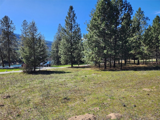 LOT1 River Rd, Troy, MT 59935