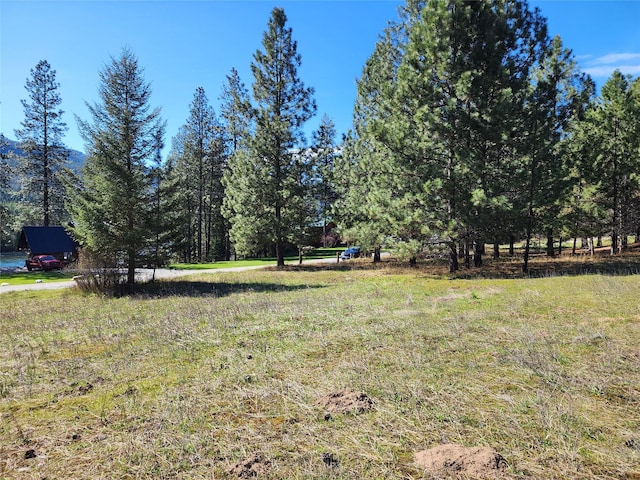 LOT1 River Rd, Troy, MT 59935