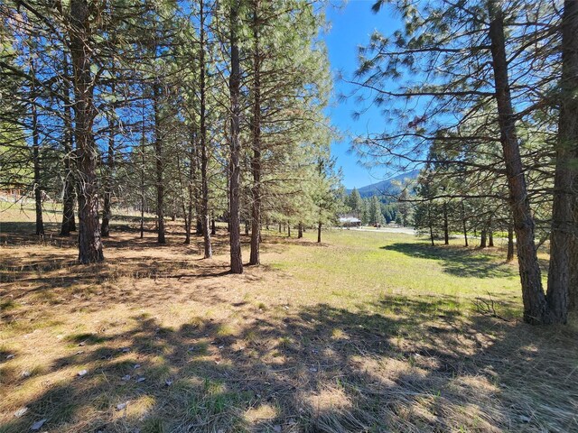LOT1 River Rd, Troy, MT 59935