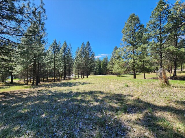 LOT1 River Rd, Troy, MT 59935