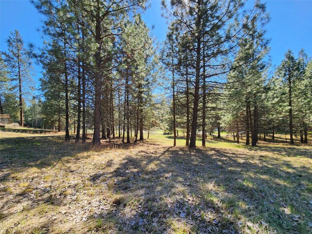 LOT1 River Rd, Troy, MT 59935