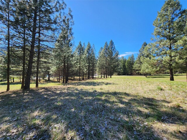 LOT1 River Rd, Troy, MT 59935