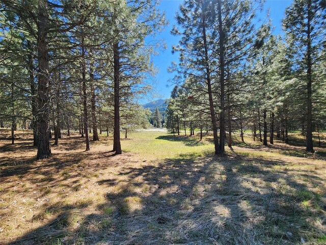 LOT1 River Rd, Troy, MT 59935