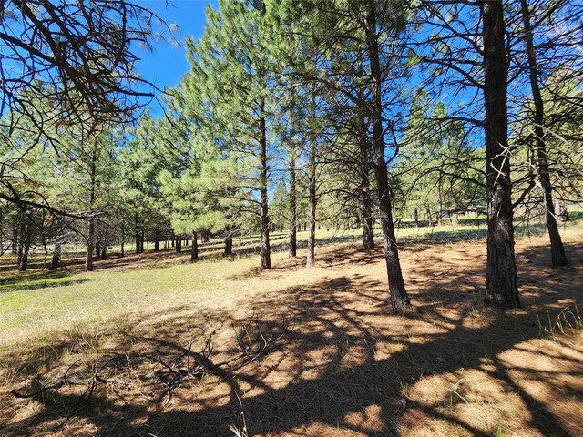 LOT1 River Rd, Troy, MT 59935