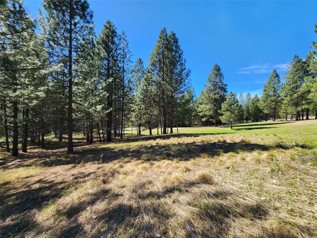 LOT1 River Rd, Troy, MT 59935