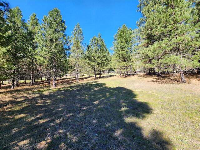 LOT1 River Rd, Troy, MT 59935