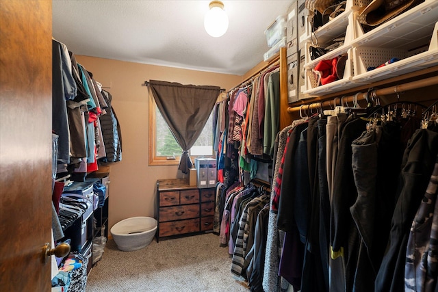 walk in closet featuring carpet floors