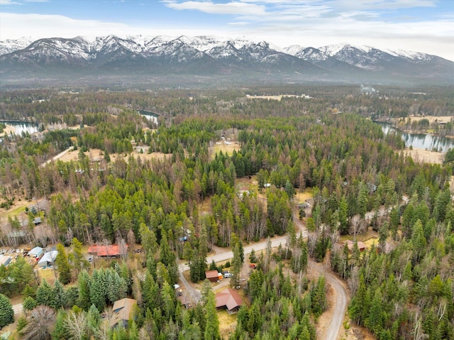 bird's eye view featuring a forest view and a water and mountain view