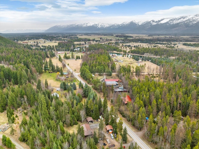birds eye view of property with a mountain view