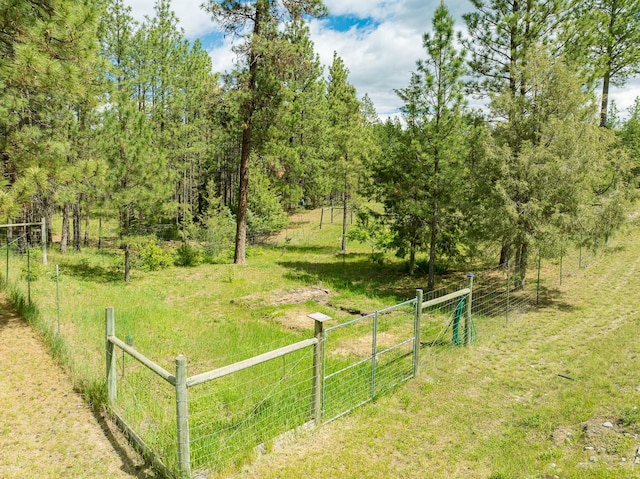 5228 Sophie Lake Rd, Eureka, MT 59917 - view of yard