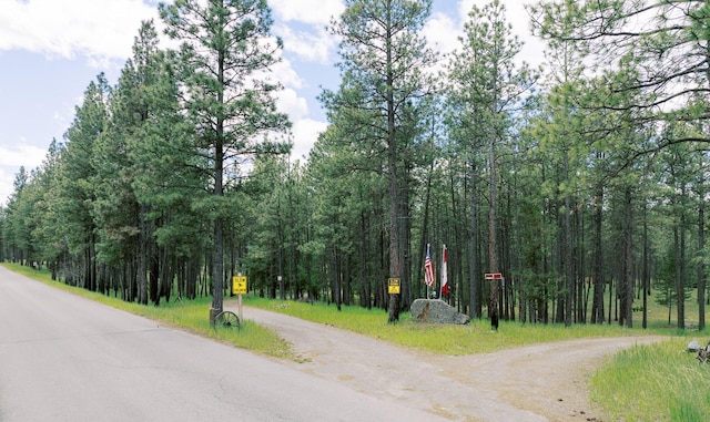 5228 Sophie Lake Rd, Eureka, MT 59917 - view of road