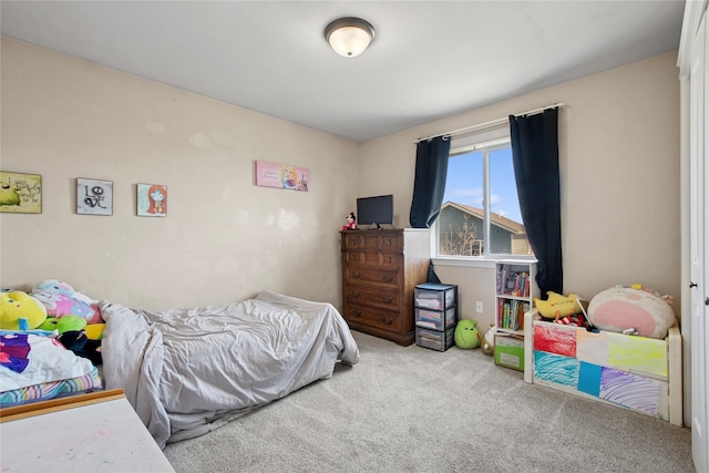 227 Jackson Peak Dr, Kalispell, MT 59901 - view of carpeted bedroom