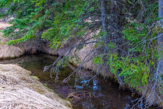 3700 Glen Lake Rd, Eureka, MT 59917 - view of nature