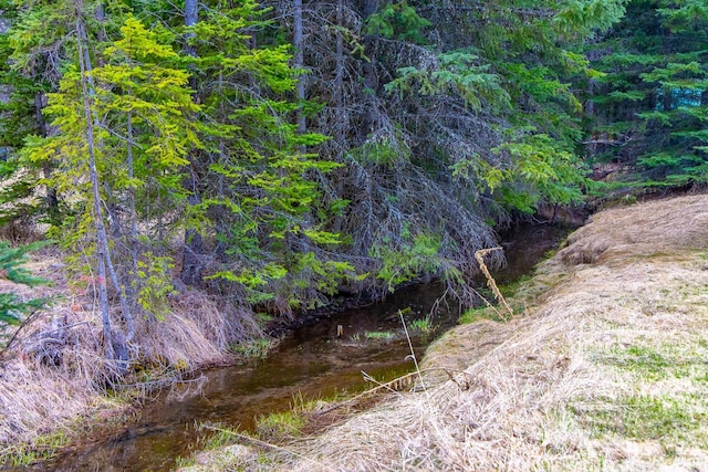 3700 Glen Lake Rd, Eureka, MT 59917 - view of undeveloped land