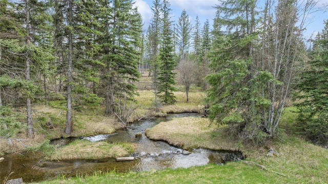 3700 Glen Lake Rd, Eureka, MT 59917 - view of nature