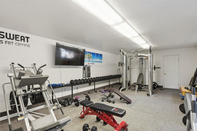 3700 Glen Lake Rd, Eureka, MT 59917 - view of exercise area