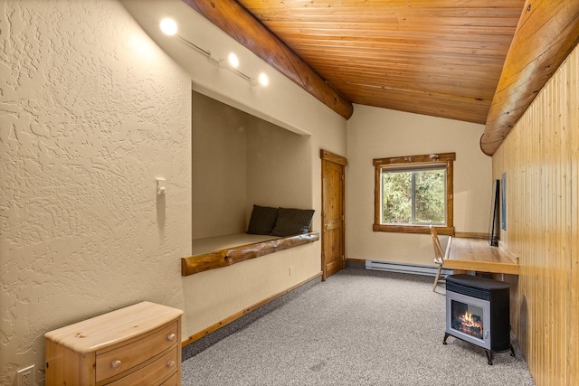 3700 Glen Lake Rd, Eureka, MT 59917 - miscellaneous room with a baseboard radiator, wood ceiling, vaulted ceiling, carpet, and a textured wall