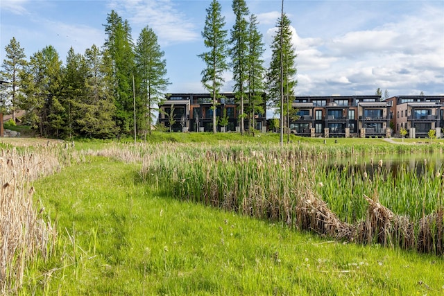 317 Akers Ln Unit H, Whitefish, MT 59937 - view of yard