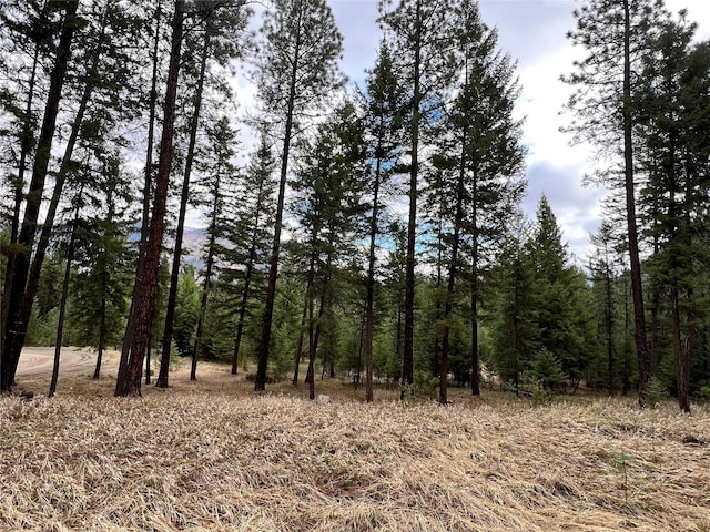 85 Osprey Dr E, Thompson Falls, MT 59873 - view of wooded area