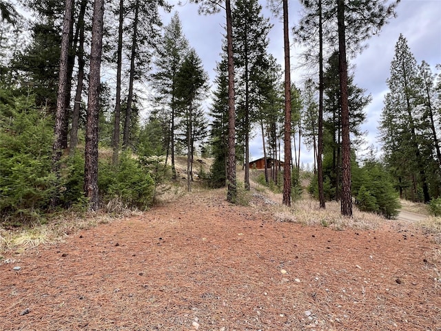 85 Osprey Dr E, Thompson Falls, MT 59873 - view of woods